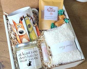 Funny Get Well Gift Box For Her, Sending Hug in a Box Post Surgery Gift For Dog Lover, At Least You Don't Have to Wear A Cone