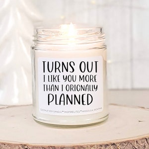 Valentine's Day Candle Gift, I Like You More Than I Planned, Funny Candle Gift For Boyfriend, Gift For Girlfriend, New Relationship Gift