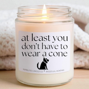 Funny Get Well Soon Candle, Gift Box Option: At Least You Don't Have To Wear Cone