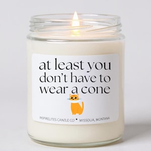 Get Well Soon Gift Funny Post Surgery Gift Box For Her Heal Quick Gift Box Speedy Recovery Gift At Least You Don&#39;t Have to Wear A Cone Cat