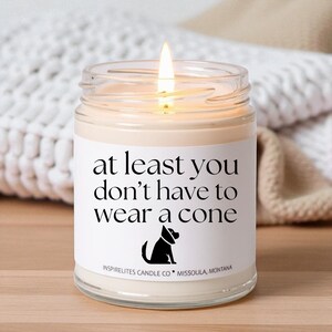 Pu&ograve; includere: Una candela accesa in un barattolo di vetro trasparente con un'etichetta bianca. L'etichetta recita "at least you don't have to wear a cone" con una silhouette di cane. La candela &egrave; di Inspirelites Candle Co, Missoula, Montana.
