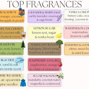 Pu&ograve; includere: Una grafica colorata elenca "TOP FRAGRANZE" con descrizioni di profumi. I profumi includono "Beach Bum", "Caramel Macchiato", "Fraser Fir", "High Tide", "Hoodie Weather" e altri. Ogni profumo &egrave; descritto con le sue note chiave.