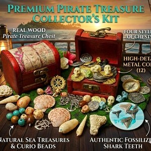 Pirate Treasure Chest Kit: Wood Chest, Metal Coins, Shark Teeth, Sea Treasures image 11
