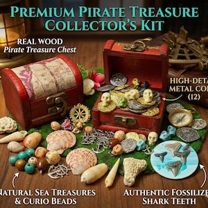 Pirate Treasure Chest Kit: Wood Chest, Metal Coins, Shark Teeth, Sea Treasures image 1