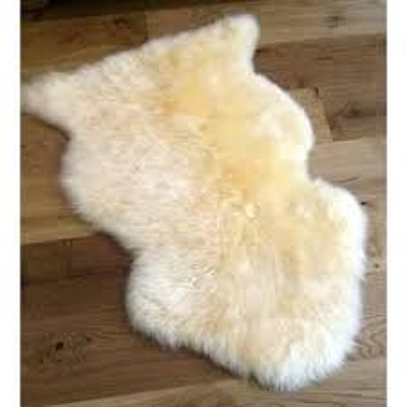 Genuine Authentic Sheepskin rug Single Pelt Champagne 2x3 Etsy