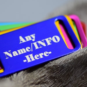 May include: A stack of brightly coloured pet ID tags. The top tag is blue with the text "Any Name/INFO -Here-" in white. Other tags are green, yellow, pink, and red. The tags are rectangular with rounded corners and a slot for attachment.