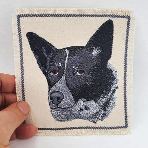 May include: Embroidered patch of a black and white Australian Shepherd dog's head with a white background and a grey border.