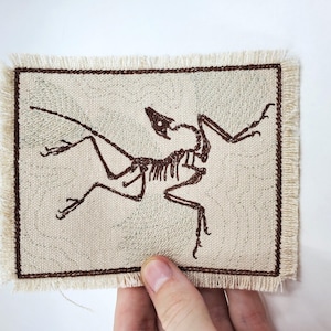 Parche de lona bordado con fósil de Archaeopteryx - Parche para mochila - Parche para chaqueta - Parche para jeans - Dinosaurio