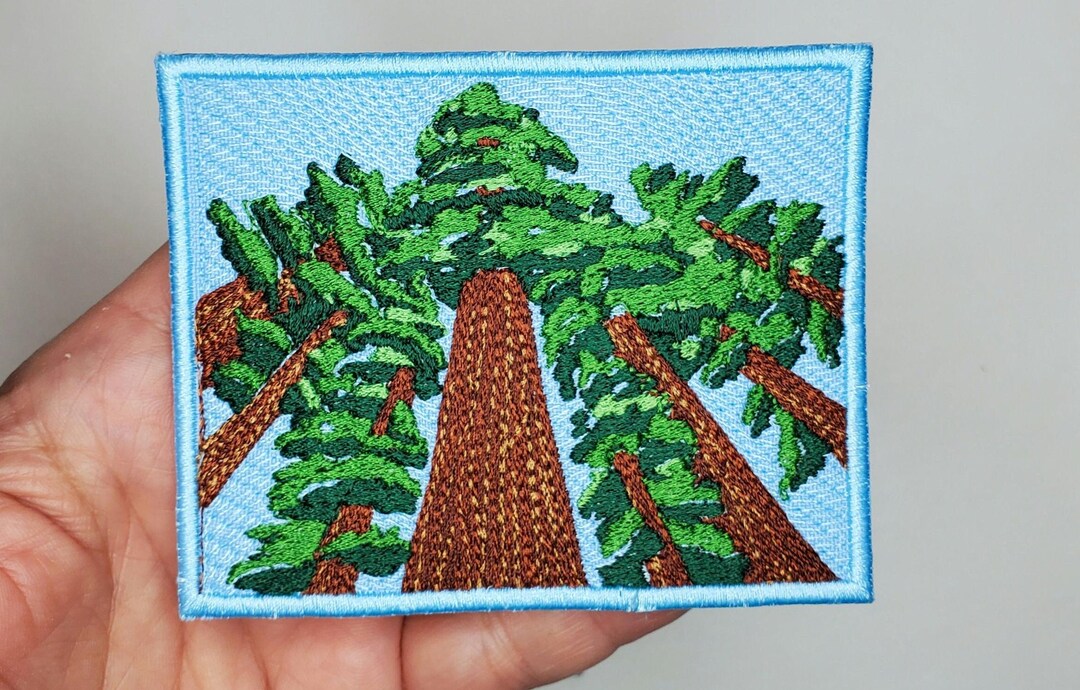 Redwood Trees Iron on Patch - Outdoors Nature Patch - Gazing at Trees ...