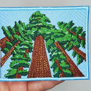 Redwood Trees Iron On Patch - Outdoors Nature Patch - Gazing at Trees - Patch for Jacket - Tree Patch