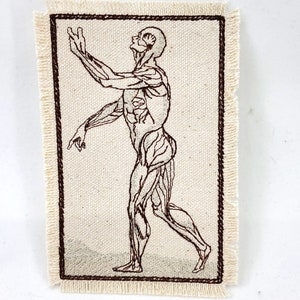 Vintage Anatomy Sketch Embroidered Patch Canvas Patch - Patch collection - Jean Jacket