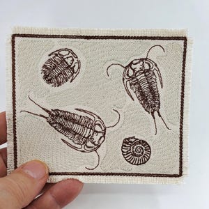 Peut inclure: Un patch brodé marron avec un fond blanc représentant quatre trilobites et une coquille de nautile.