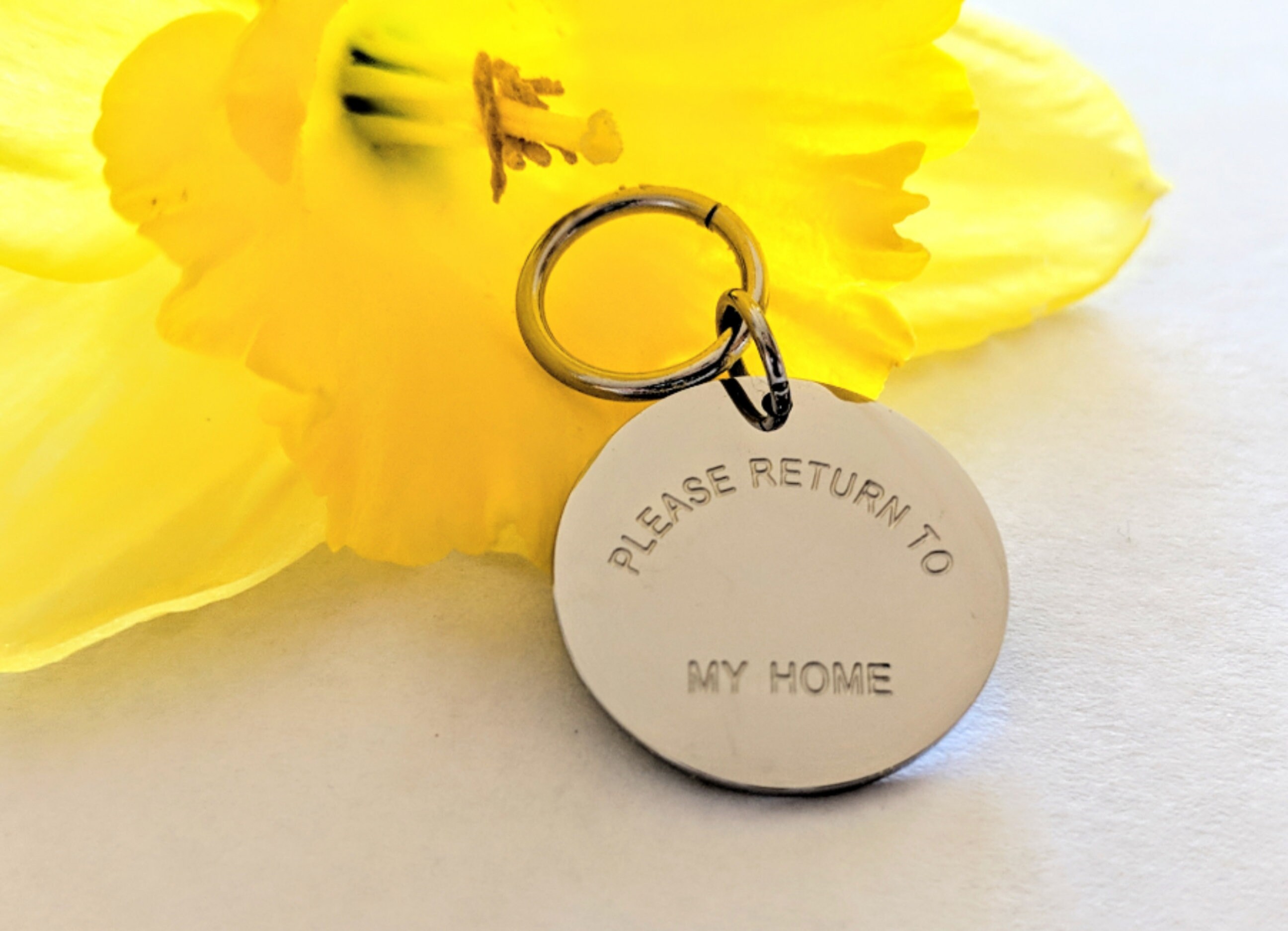 Tiffany-inspired Dog Pet ID Tag - Etsy
