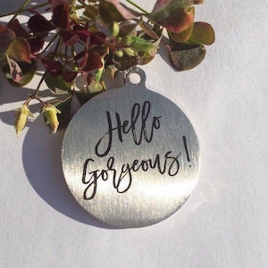 Hola hermosa etiqueta de identificación de perro mascota