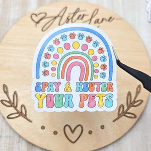 May include: A colorful sticker with a rainbow design and paw prints. The sticker has the text "Spay & Neuter Your Pets" in a retro font. The sticker is being held by a pair of black tweezers, and is on a wooden surface.