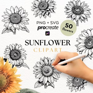 50 zonnebloem PNG SVG | Procreate Tattoo Brushes Stempels | Bloemen botanische bruiloft herfst herfst clipart | Gepersonaliseerd cadeau | Commercieel gebruik