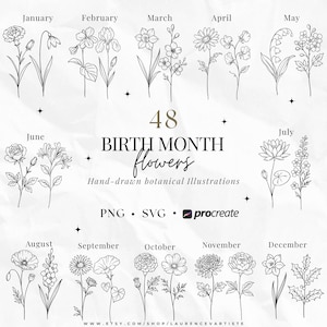 Op de afbeelding: Een collectie van 48 zwart-wit botanische lijntekeningen die geboortebloemen vertegenwoordigen. De tekst luidt 48 BIRTH MONTH flowers Hand-drawn botanical Illustrations PNG SVG procreate. Elke maand bevat twee verschillende bloemmotieven.