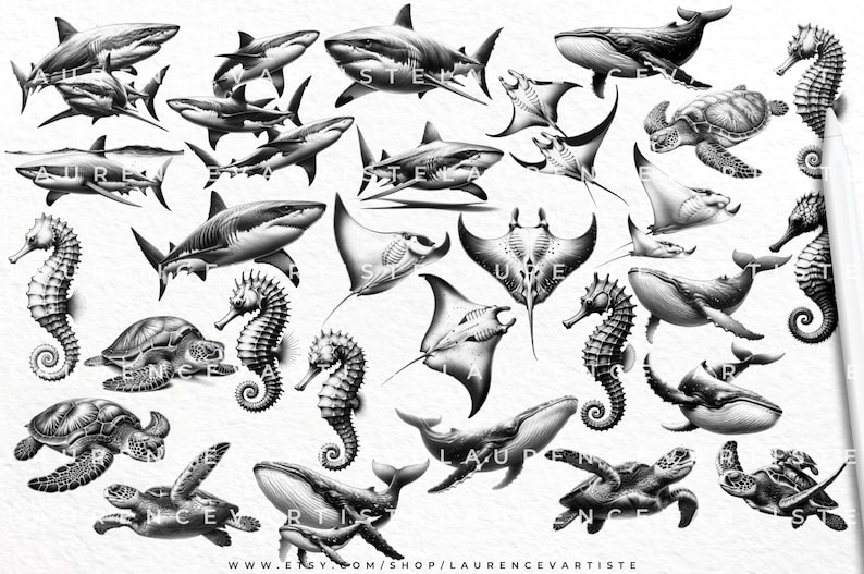 Sea Animal Procreate Brushes Tattoo Stamps | Realism Drawing Tattoo ...