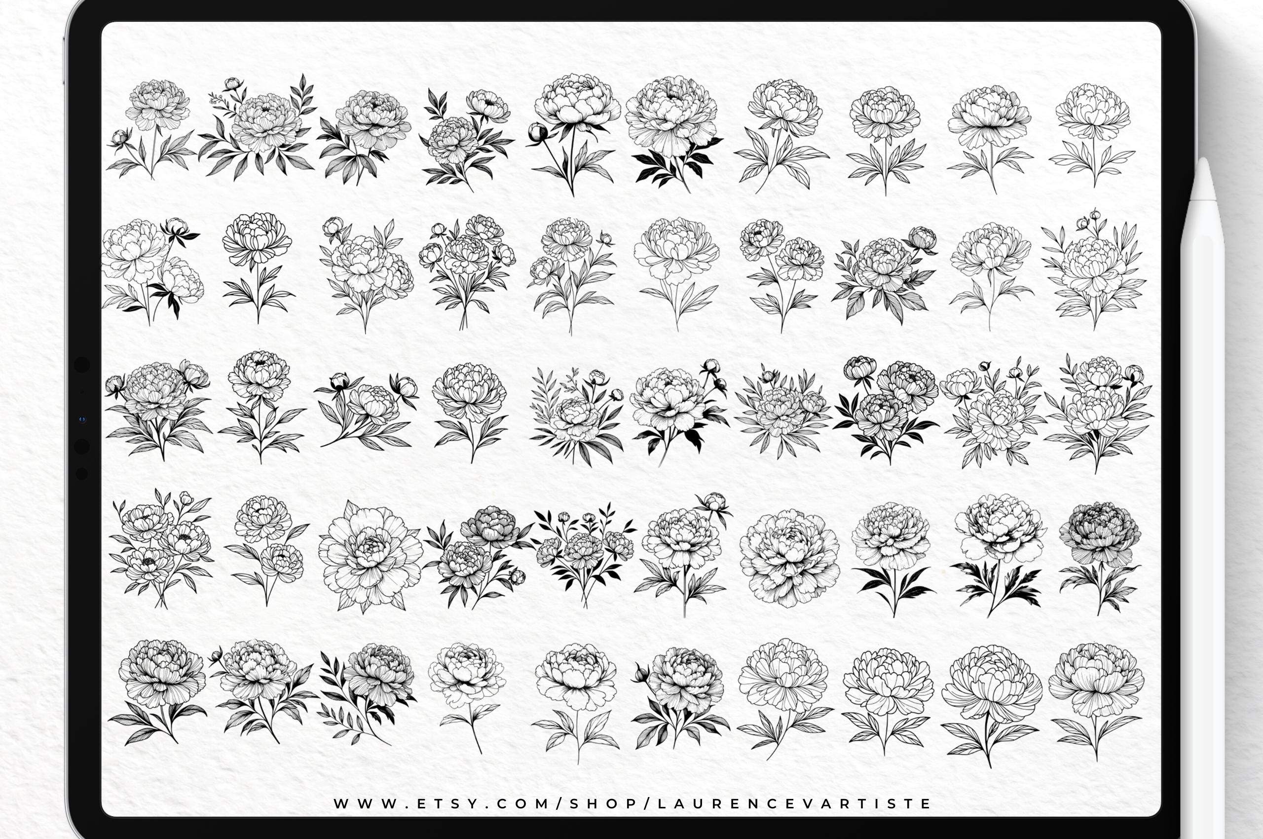 100 Peony Png Svg Procreate Brushes Bundle | Procreate Stamps | Wedding ...