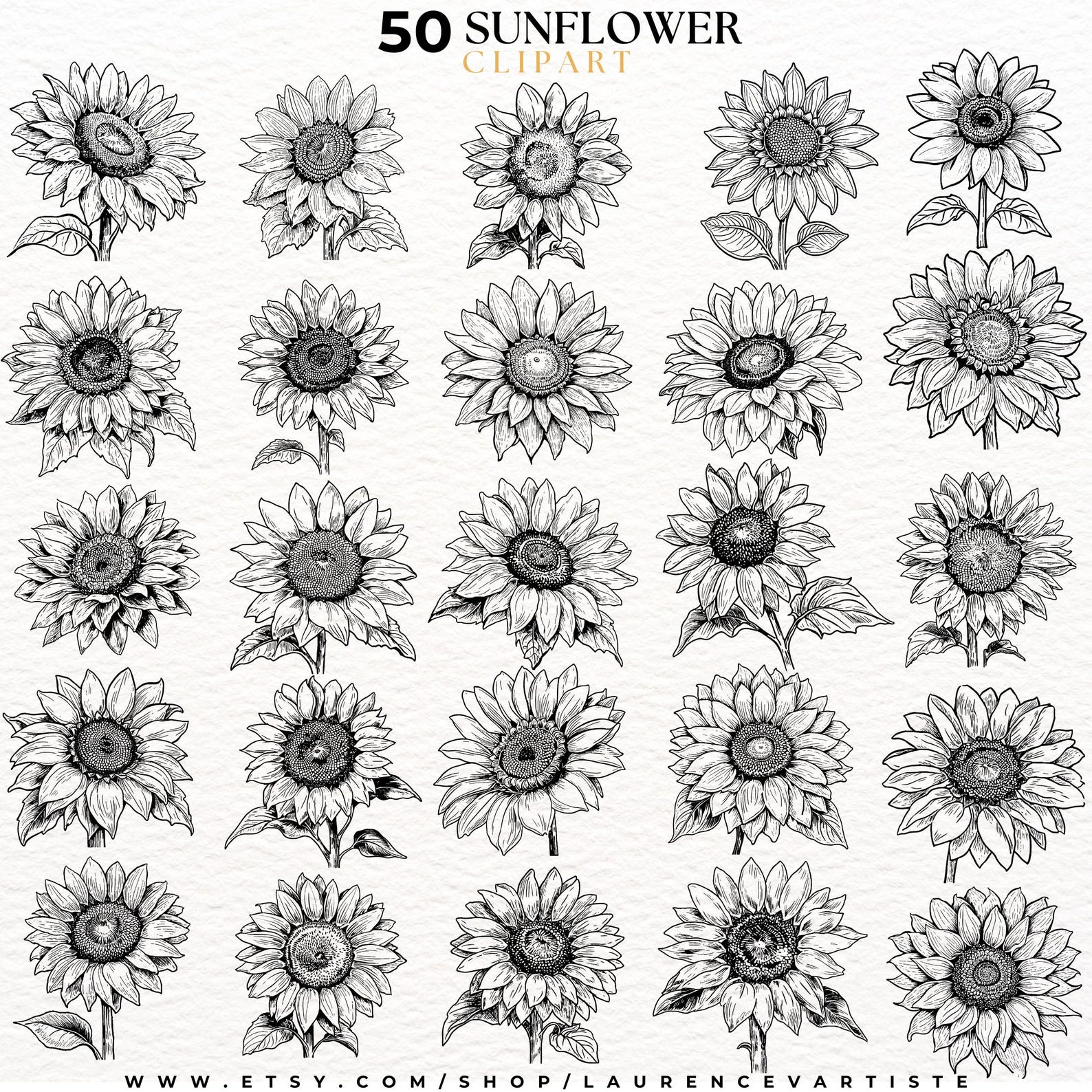 50 Sunflower PNG SVG | Procreate Tattoo Brushes Stamps | Floral ...