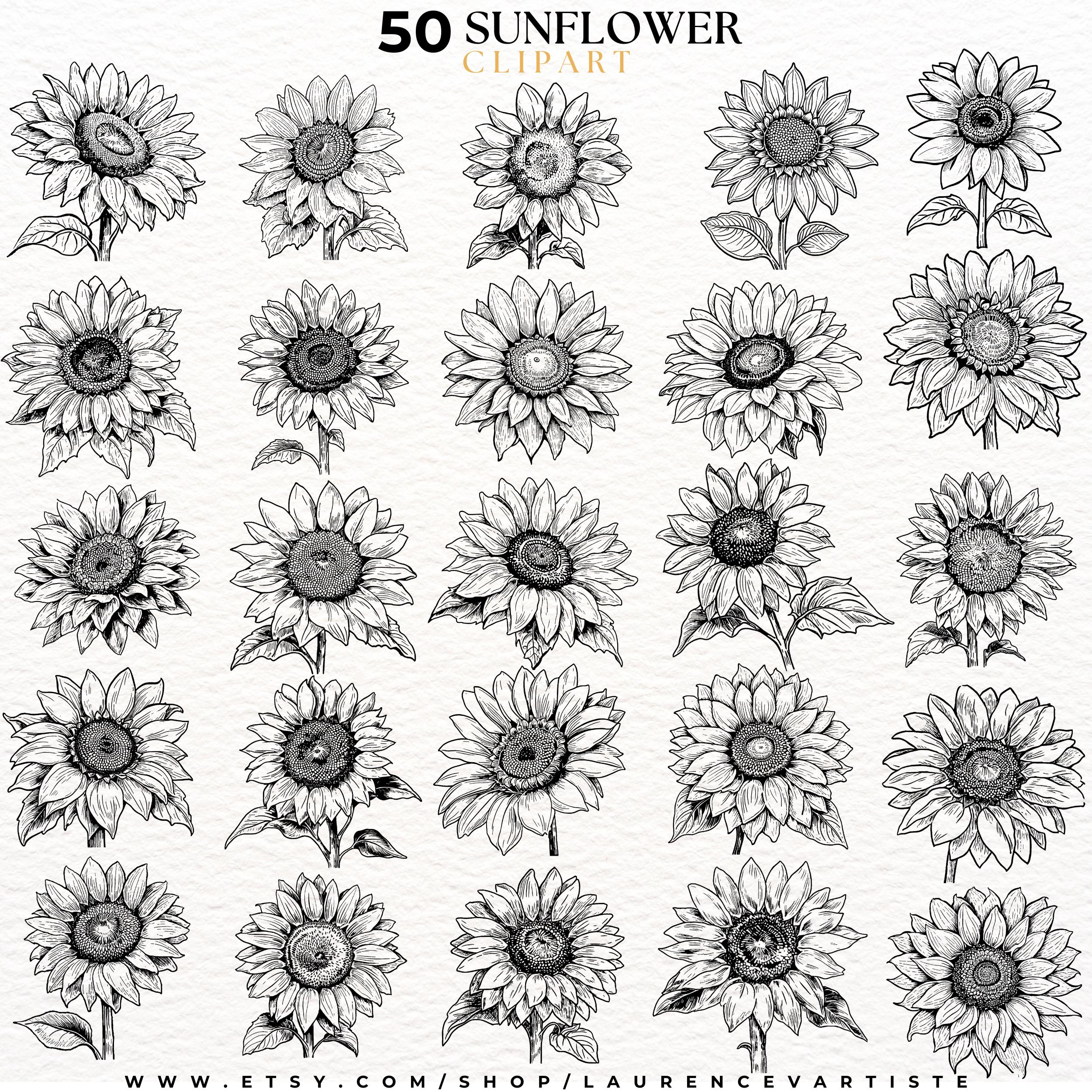 50 Sunflower PNG SVG | Procreate Tattoo Brushes Stamps | Floral ...
