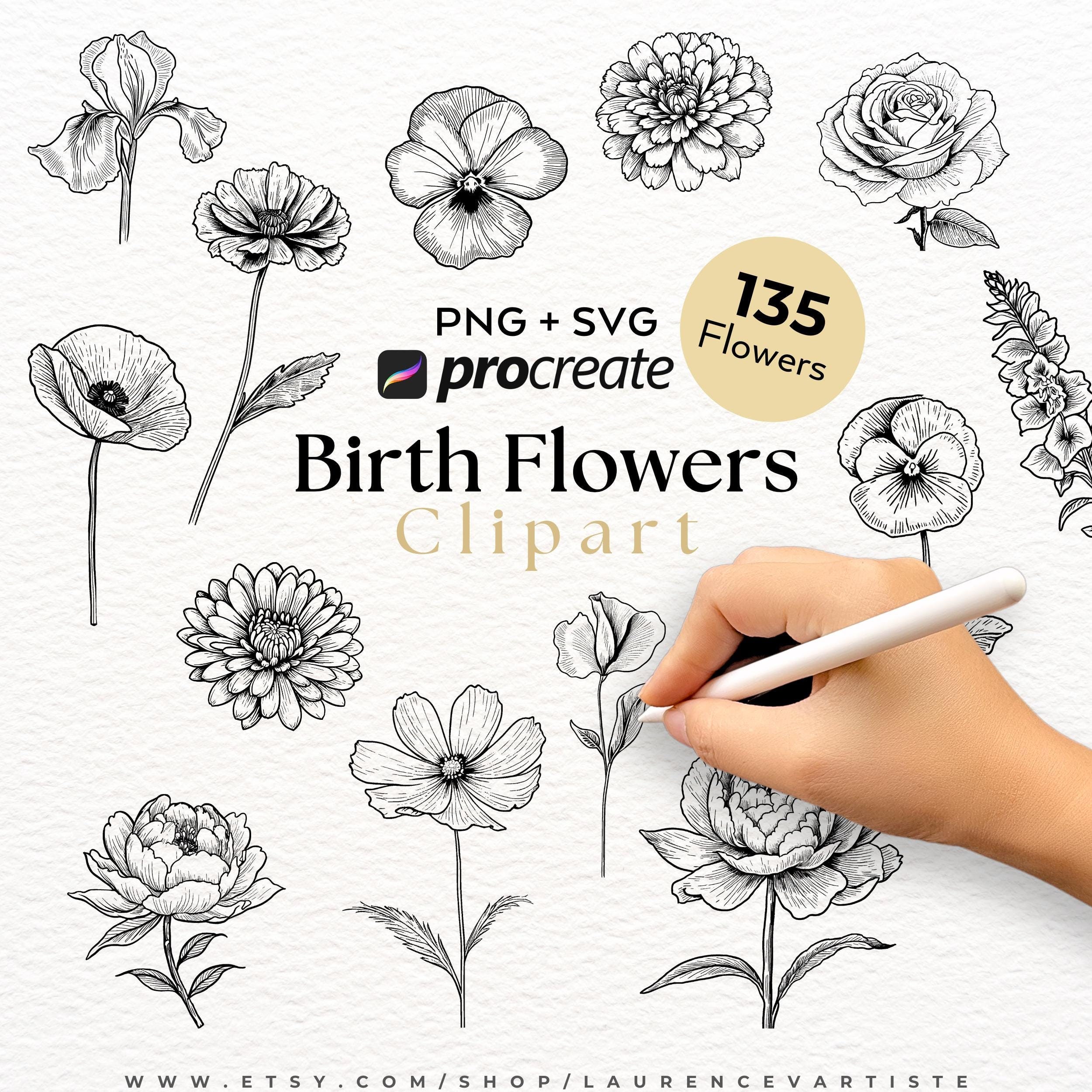Birth Flowers PNG SVG | Procreate Tattoo Brushes Stamps | Birth Month ...