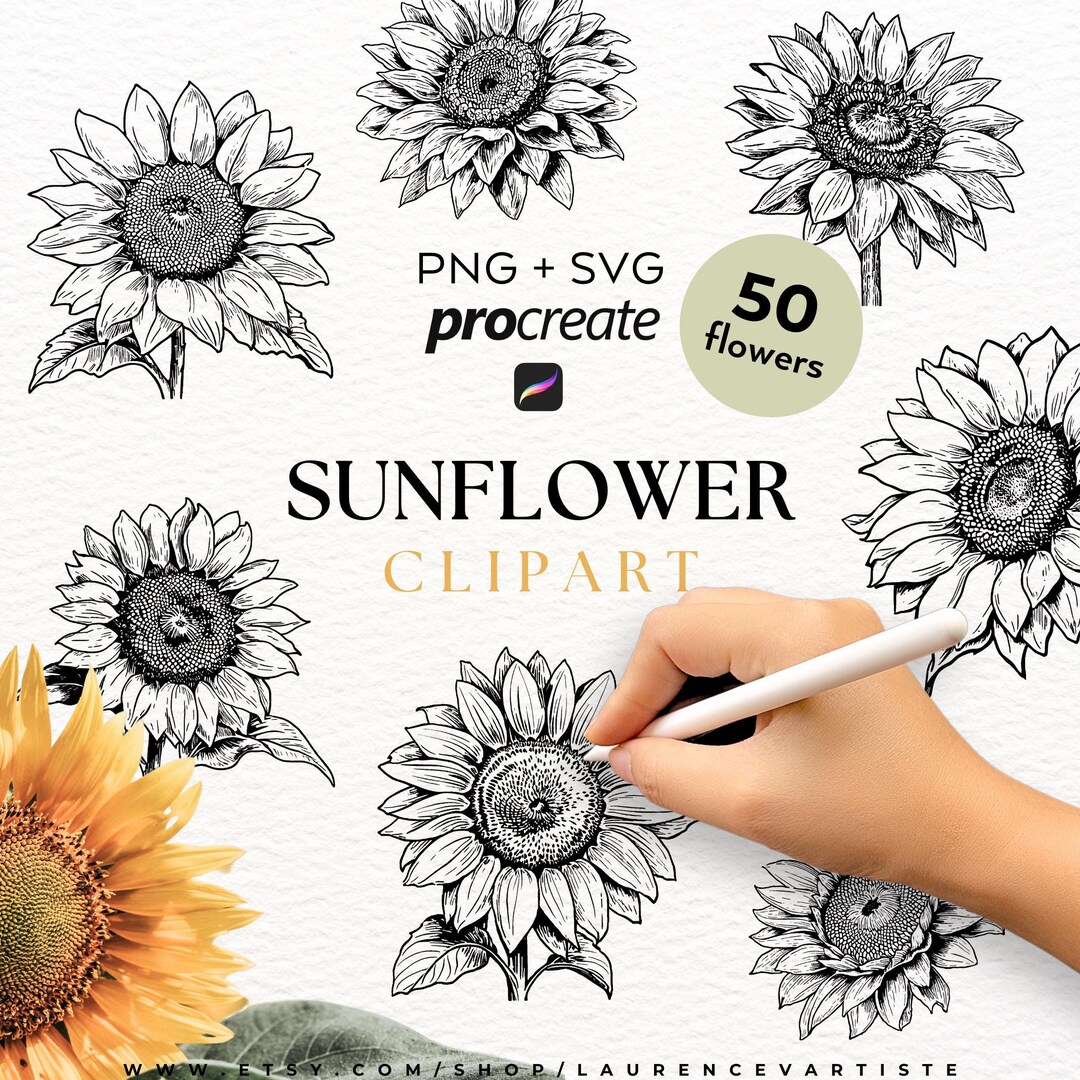 50 Sunflower PNG SVG | Procreate Tattoo Brushes Stamps | Floral ...