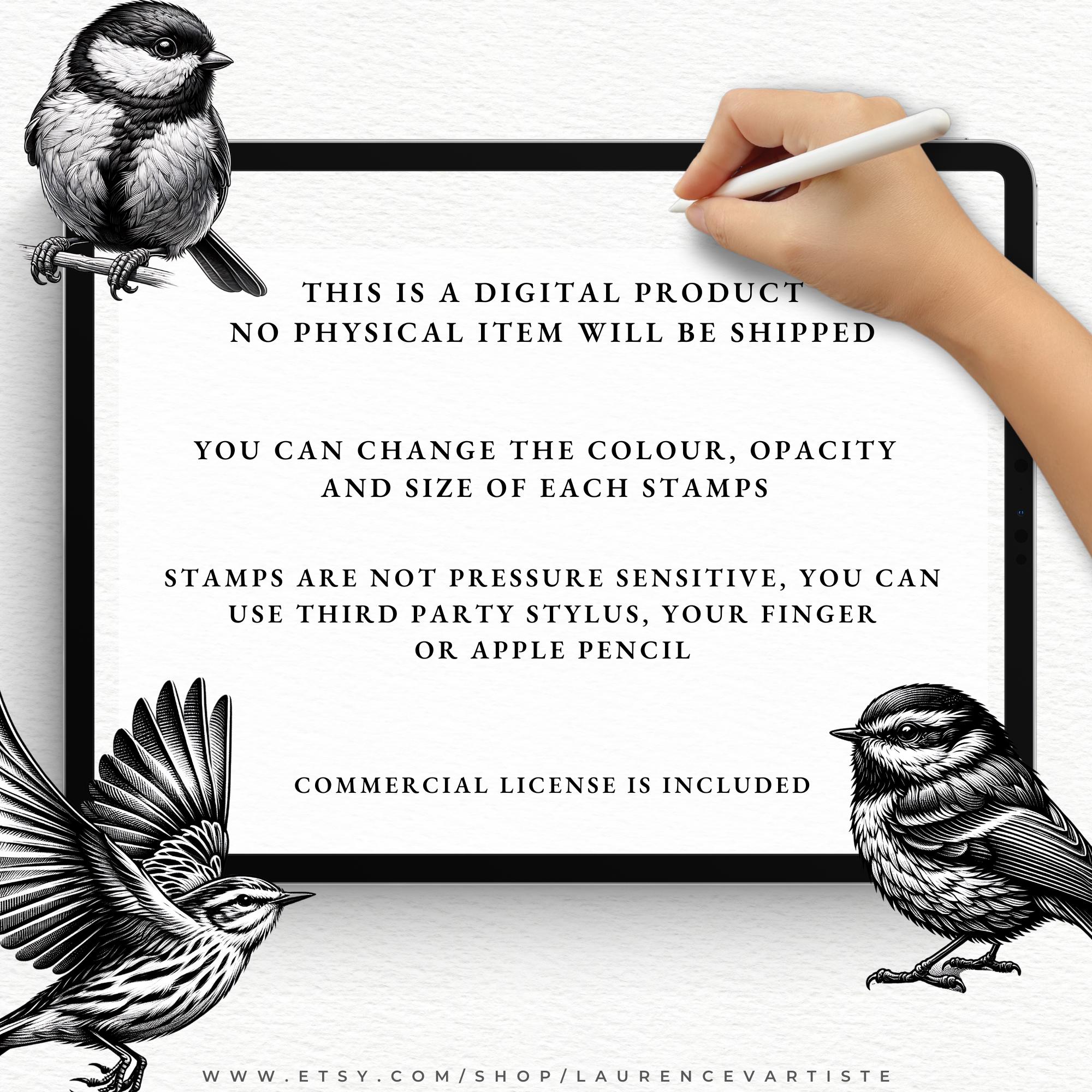 Procreate Brushes Stamps | Bird Realistic Feather Animal Procreate ...
