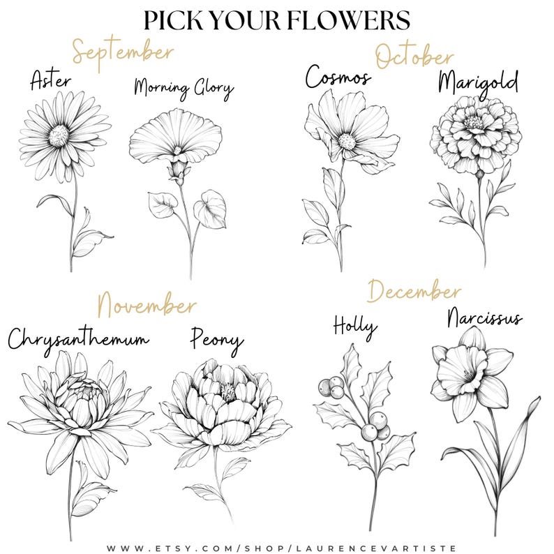 May include: A black and white line drawing illustration of flowers for each month of the year. September: Aster and Morning Glory. October: Cosmos and Marigold. November: Chrysanthemum and Peony. December: Holly and Narcissus.