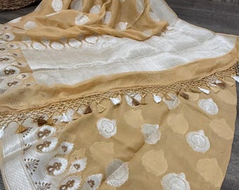 Banarasi Pure Chiffon Beige Saree/ Silver Zari/ Free Shipping in US