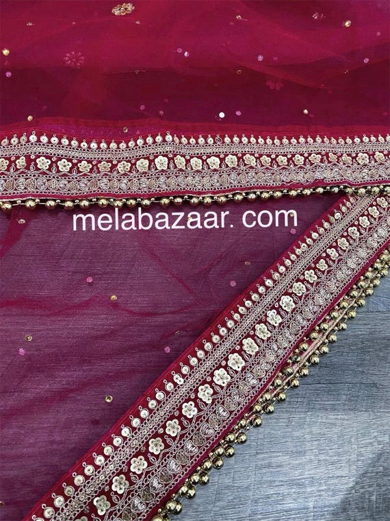 RANI SAAHIBA Dupatta In Chiffon Ricamato Beige – 2,25×0,95 Metri, Con Nappe E Bordo Lavorato, Accessorio Etnico