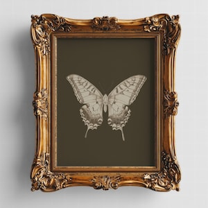 Butterfly Wall Art Print, Vintage Insect Illustration, Botanical Minimalist Decor, Nature Lover Artwork, Elegant Boho Home Decor