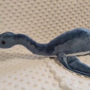 May include: A blue and white plush toy shaped like a plesiosaur, a long-necked marine reptile. The toy has a small, round head with black eyes and a long, slender neck. The body is blue and the underside is white.