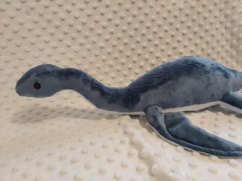 May include: A blue and white plush toy shaped like a plesiosaur, a long-necked marine reptile. The toy has a small, round head with black eyes and a long, slender neck. The body is blue and the underside is white.