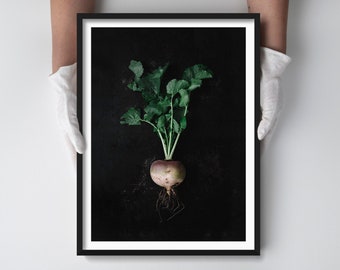 Minimalist Kitchen Print - Icelandic Turnip Food Photography Art Print