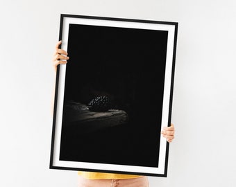 Minimalist Kitchen Art - Blackberry Food Photography Print