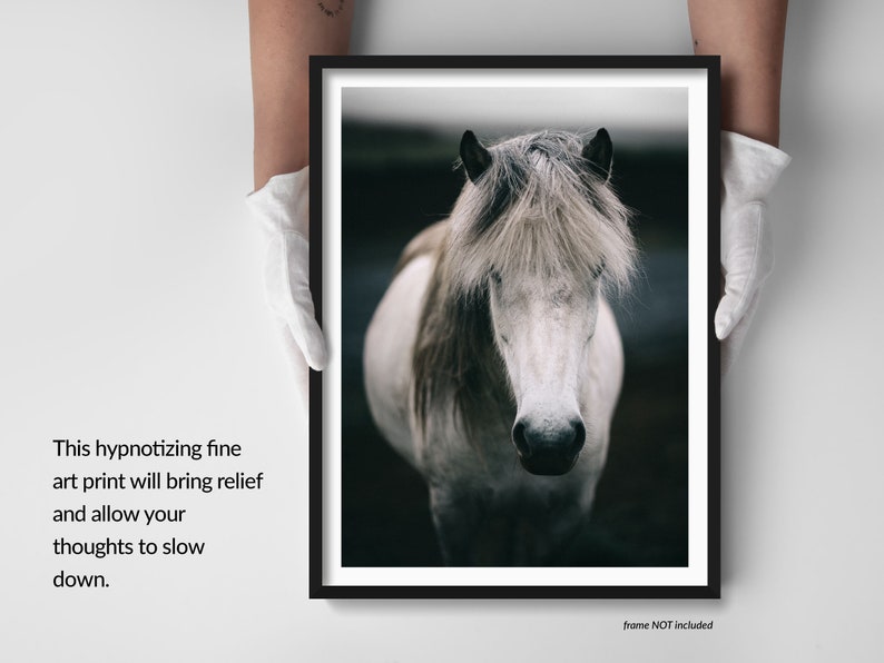 Scandinavian Art, Iceland Print, Horse Print, Wall Art, Decor, Nature Photography, Animal, Wedding Gift, Iceland image 9