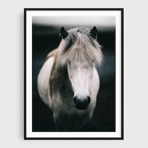 Scandinavian Art, Iceland Print, Horse Print, Wall Art, Decor, Nature Photography, Animal, Wedding Gift, Iceland image 1