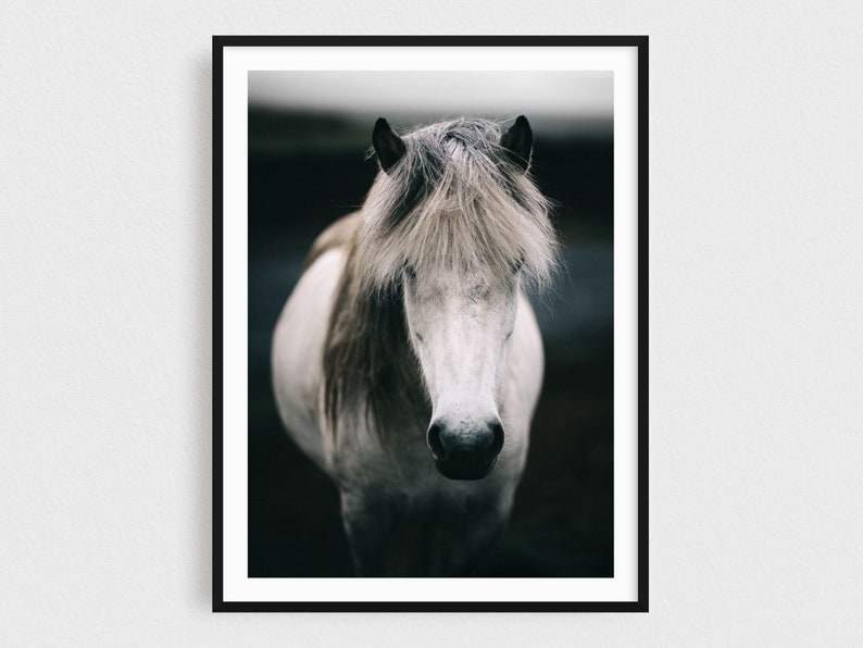 Scandinavian Art, Iceland Print, Horse Print, Wall Art, Decor, Nature Photography, Animal, Wedding Gift, Iceland image 1