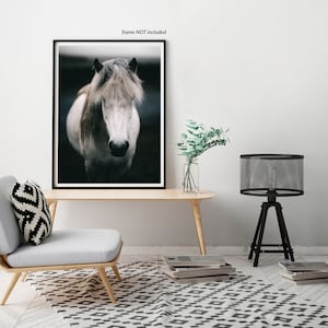 Scandinavian Art, Iceland Print, Horse Print, Wall Art, Decor, Nature Photography, Animal, Wedding Gift, Iceland image 2