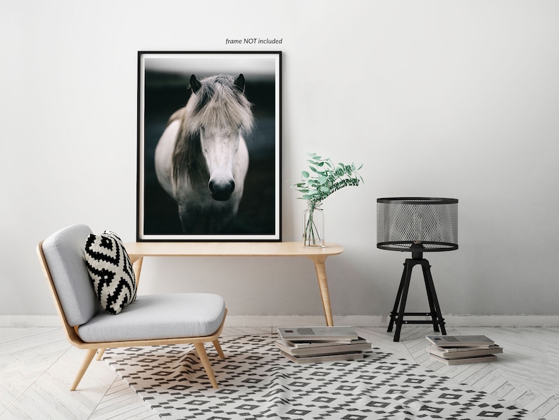 Scandinavian Art, Iceland Print, Horse Print, Wall Art, Decor, Nature Photography, Animal, Wedding Gift, Iceland image 2