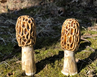 Handmade Mini Morel Mushroom Vessels