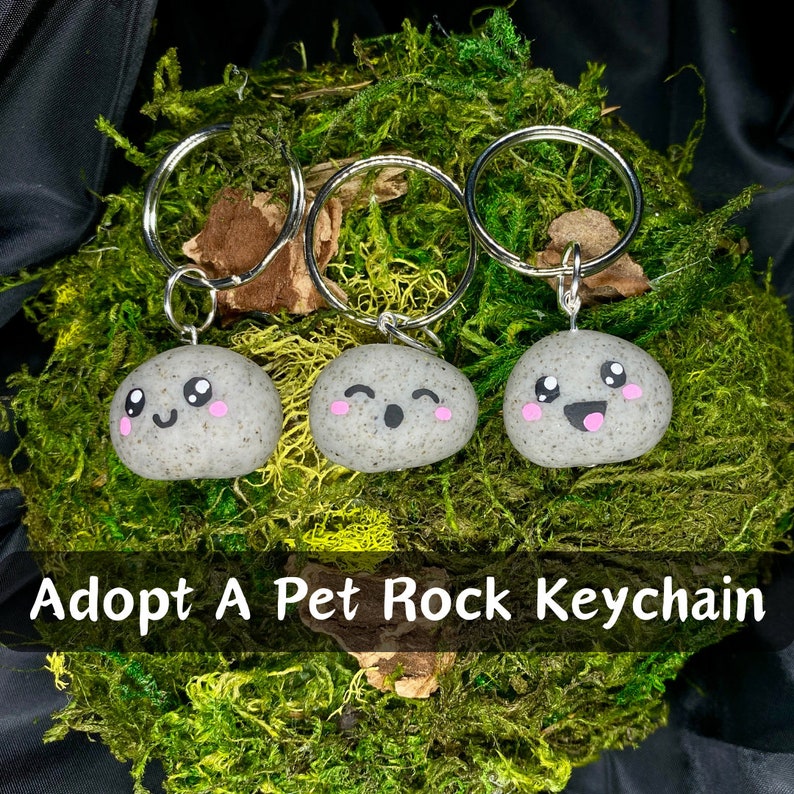 Adopt A Pet Rock Valentines Day Gift Gag Gift Cute Keychain Unique