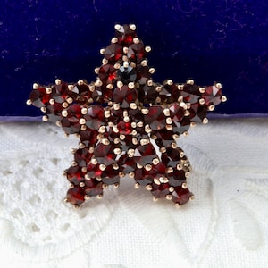 May include: A star-shaped brooch featuring numerous deep red, faceted garnet gemstones set in a metallic frame. The stones are arranged in a dense, clustered pattern, creating a textured surface with small metal prongs securing each individual gem.