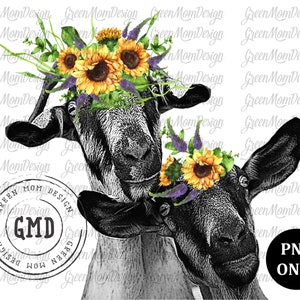 Capra Floreale PNG, Girasoli, Madre e Bambino Capra Sublimazione Design PNG, Grafica, Clip Art, Digital Download