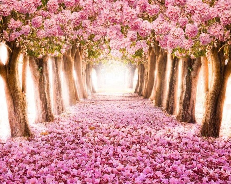 Blossom Cherry Backdrop Spring Pink Cherry Blossom Background Wedding Bridal Shower Baby Shower Artistic Portrait Wallpaper