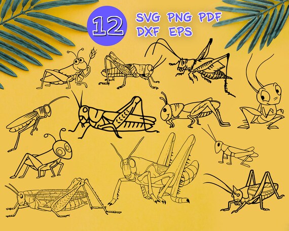 LOCUST SVG Insect Svg Locus Bug Svg Grasshopper Svg | Etsy Canada