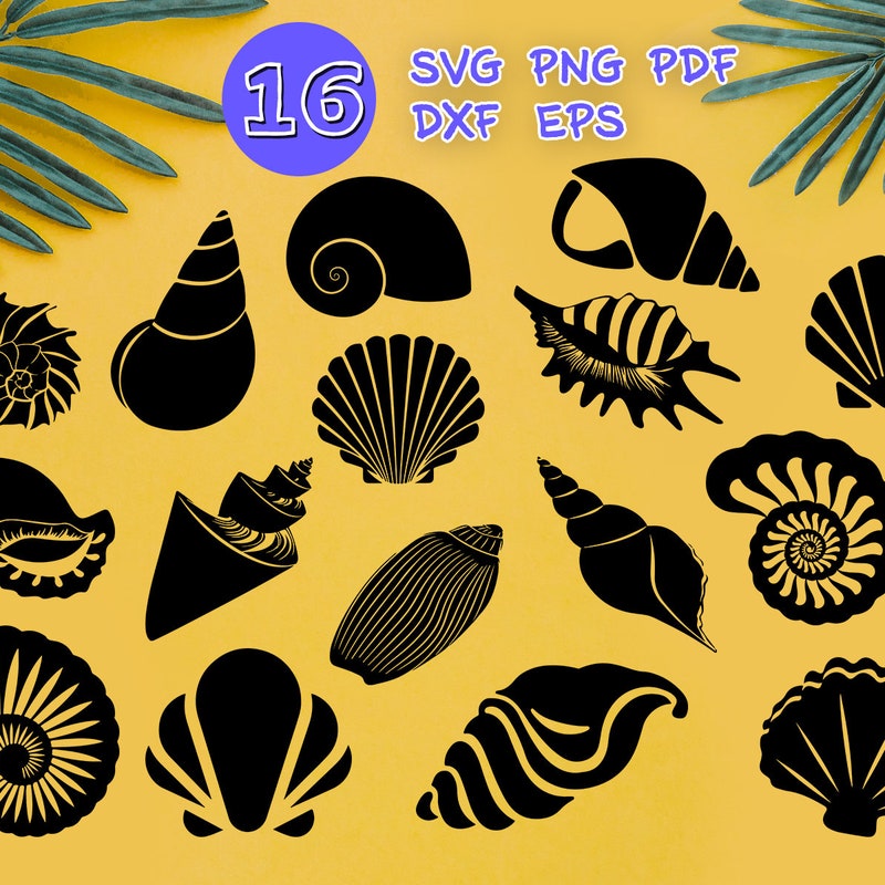 Sea Shell Svg - Etsy