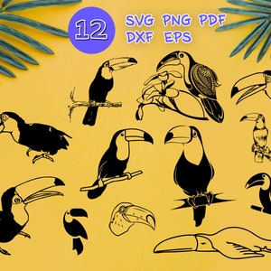 TOUCAN SVG, bird svg, toucan clipart, tropical svg, toucan vector, toucan cut file, tropical bird svg, hawaii svg, toucan bird svg, stencil