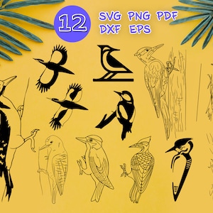 WOODPECKER SVG, bird svg, woody svg, svg for circut, svg files for cricut, woodpecker dxf, vector woodpecker, woodpecker cutfile, Design